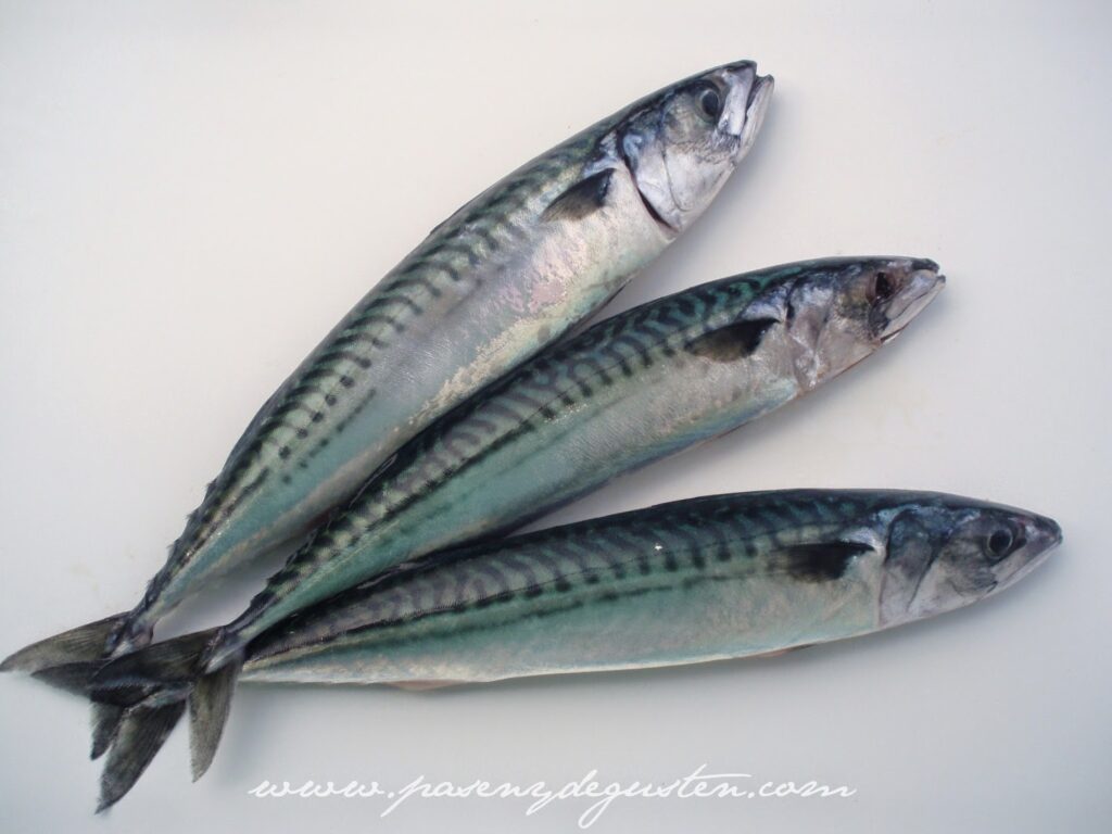 Alerta alimentaria: Retiran pescado coreano por contaminación con larvas de Anisakis.